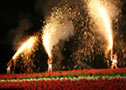 라벤더 축제&불꽃축제