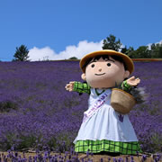 Municipal Lavender Garden