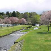 Shikabe Park