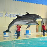 Otaru Aquarium