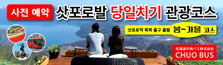 삿포로의 1일 관광 버스