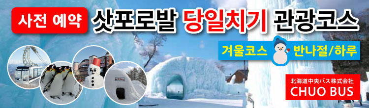 삿포로의 1일 관광 버스