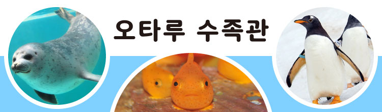 오타루수족관