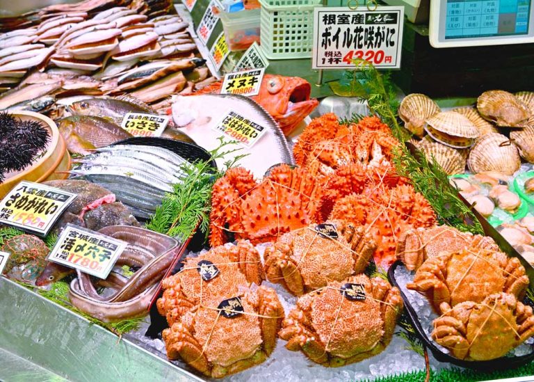 daimaru-sapporo2026_top1