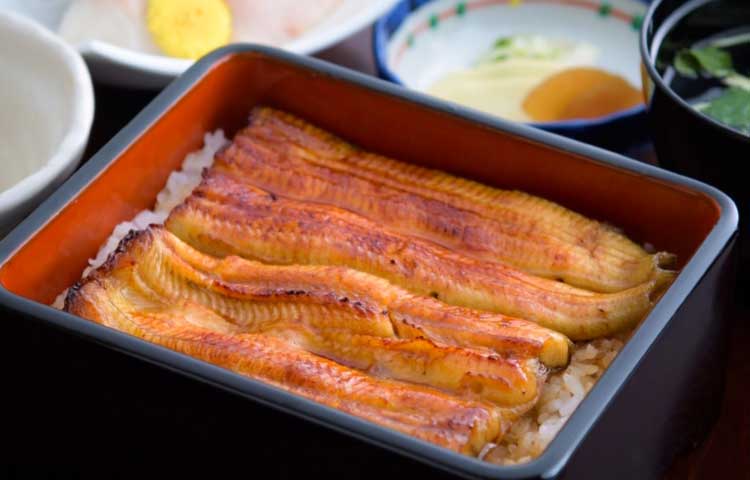 장어/ 미야가와혼텐