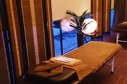 때밀이, 바디케어 가라다센카 고하쿠