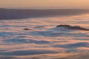 Read more about the article 운해 출현율 1위인 츠베쓰 고개로 유명한 츠베쓰초의 해외 홍보가 시작되었습니다.