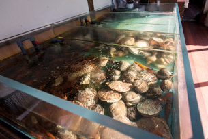 입구에는 수족관이 있습니다.