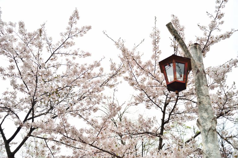 동명 공원(비바이)